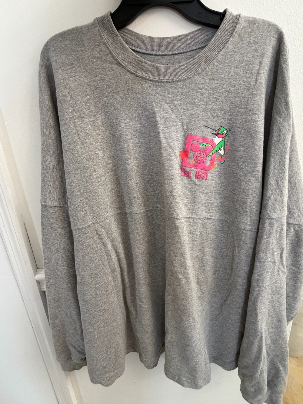 Disney Walt Disney World Critters / Sidekicks Spirit Jersey – XXL 🩷✨